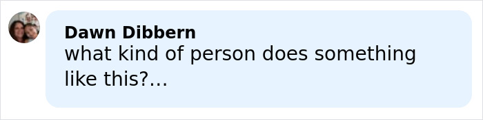 Comment from Dawn Dibbern expressing shock about an incident related to FBI ransom note details for Savannah Guthrie's mom.