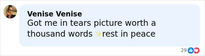 &ldquo;Find The Photo Kinda Creepy&rdquo;: Fans Slam Alfonso Ribeiro&rsquo;s &ldquo;Last Goodbye&rdquo; With James Van Der Beek