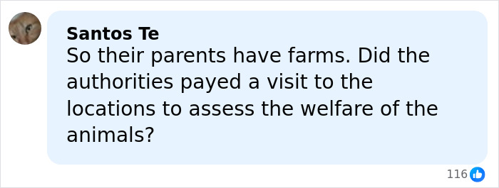 Comment about parents having farms and authorities assessing animal welfare after fireworks incident involving students and sheep.