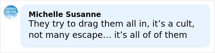 Comment from Michelle Susanne expressing views about a cult and mention of Timoth&eacute;e Chalamet in Epstein files discussion.