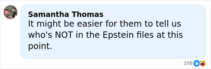 Comment about the Epstein files mentioning Timoth&eacute;e Chalamet, displayed in a social media-style message box.