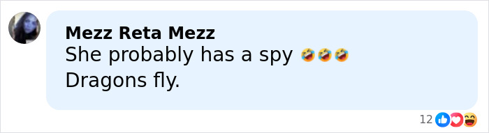 Comment mentioning a spy and dragons fly with laughing emojis in a social media conversation.