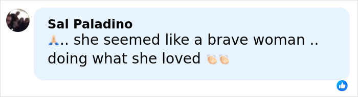 Commenter Sal Paladino expressing sympathy for a brave young woman hiking New York’s highest peak with her dog.