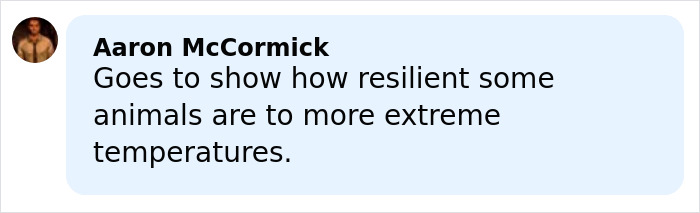 Comment by Aaron McCormick highlighting animal resilience to extreme temperatures in a light blue text box.