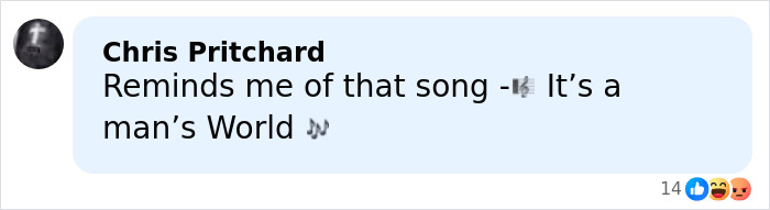Comment by Chris Pritchard referencing a song called It's a Man's World with music notes emoji on a social media post.