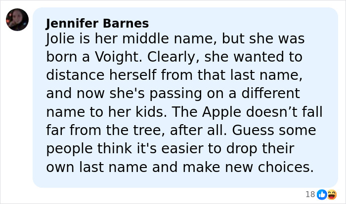 Comment discussing Brad Pitt's kid sending a brutal message about their relationship in mom's new movie.