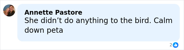 Comment criticizing Sabrina Carpenter&rsquo;s 2026 Grammys performance, calling it stupid and cruel.