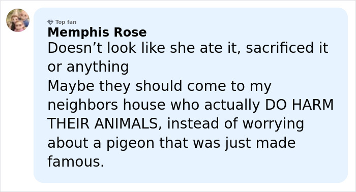 Comment from Memphis Rose criticizing reactions to Sabrina Carpenter&rsquo;s 2026 Grammys performance amid animal harm concerns.