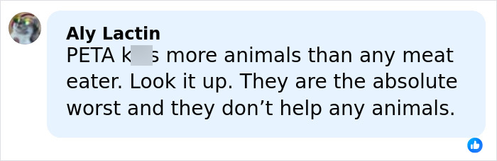 Screenshot of a social media comment criticizing Sabrina Carpenter's 2026 Grammys performance as stupid and cruel.