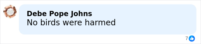 Comment saying no birds were harmed in discussion about Sabrina Carpenter Grammys performance controversy.