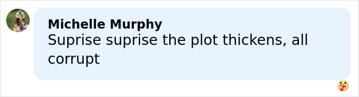 Comment from Michelle Murphy expressing surprise and mentioning corruption related to Jeffrey Epstein's bold request about Princess Beatrice and Eugenie.