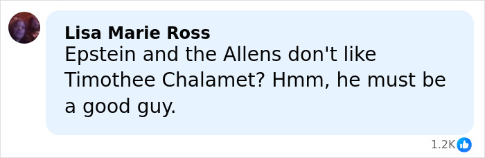 Comment by Lisa Marie Ross mentioning Epstein, the Allens, and Timoth&eacute;e Chalamet in a social media post.