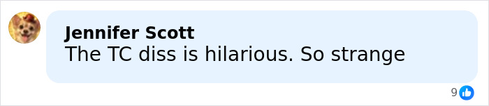 Comment by Jennifer Scott reading The TC diss is hilarious So strange with a dog profile picture and 9 likes