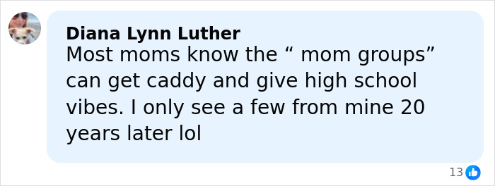 Comment about mom groups by Diana Lynn Luther, reflecting on experiences and high school vibes years later.