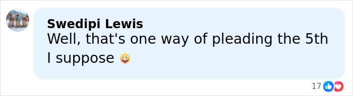 Comment by Swedipi Lewis saying well that's one way of pleading the 5th I suppose with a smiling emoji and 17 reactions.