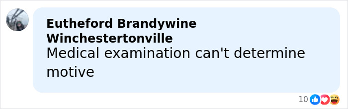 Comment from Eutheford Brandywine Winchestertonville on medical examiner's ruling in Alex Pretti case, discussing motive uncertainty.