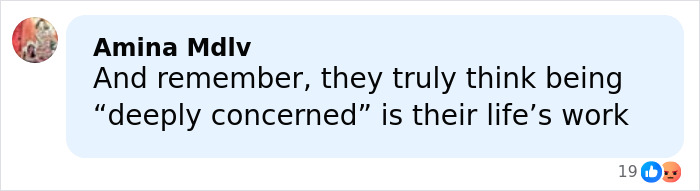 Comment by Amina Mdlv expressing skepticism about someone's claim of being deeply concerned amid royal scrutiny.