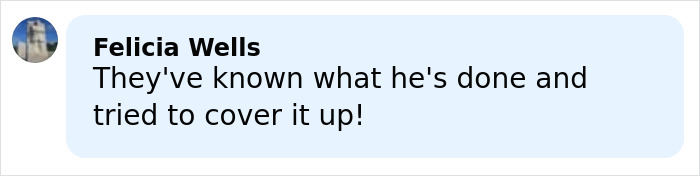 Comment from Felicia Wells expressing concern about a cover-up related to Epstein files amid royal scrutiny.