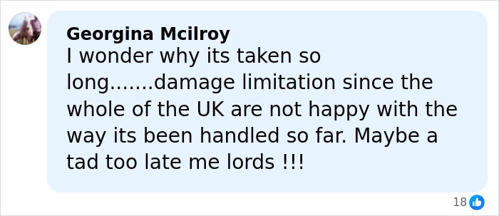 Comment by Georgina Mcilroy expressing frustration over delay in addressing Epstein files amid royal scrutiny.