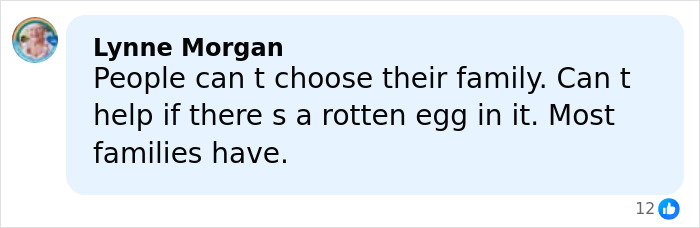 Comment by Lynne Morgan discussing family issues amid growing royal scrutiny and Epstein files controversy online.