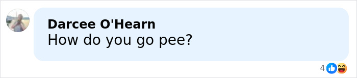 Social media comment discussing Heidi Klum revealing details of her controversial Grammys dress after backlash.