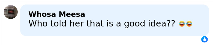 Facebook comment saying Who told her that is a good idea with laughing emojis, discussing Heidi Klum Grammys dress backlash.