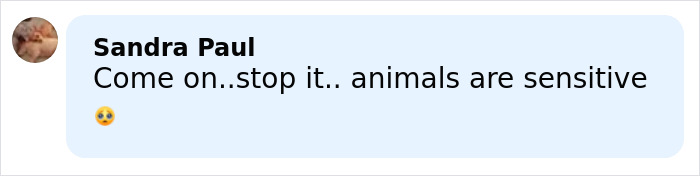 Comment by Sandra Paul expressing concern about animal sensitivity with a sad emoji.