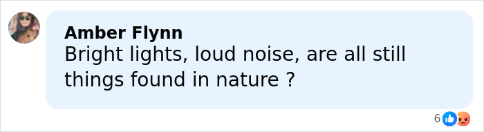 Comment about Sabrina Carpenter slammed over her 2026 Grammys performance criticizing noise and bright lights.