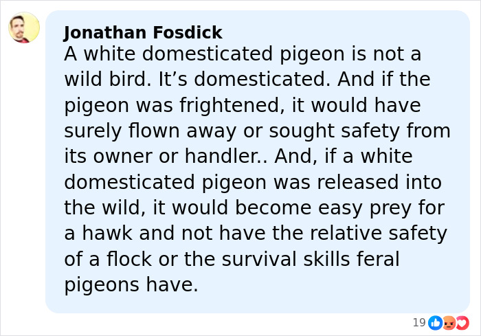 Commenter discussing criticism of Sabrina Carpenter&rsquo;s 2026 Grammys performance in a social media post.