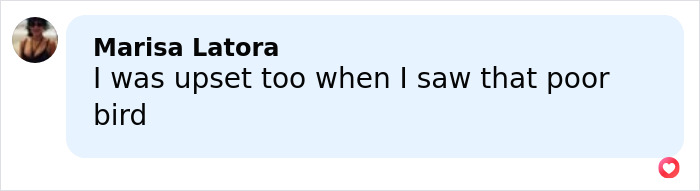 User comment by Marisa Latora expressing upset after seeing a poor bird, related to Sabrina Carpenter Grammys performance backlash.