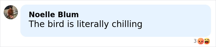 Image of a social media comment criticizing Sabrina Carpenter's 2026 Grammys performance as stupid and cruel.