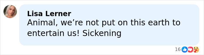 Comment on Sabrina Carpenter slammed as stupid and cruel over her 2026 Grammys performance, expressing strong disapproval.