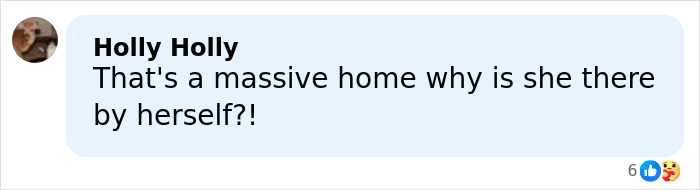 Comment from Holly Holly questioning why a woman is alone in a massive home related to police theory on disappearance.