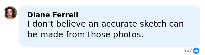 Comment by Diane Ferrell expressing doubt about an accurate sketch being made from certain photos.