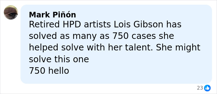 Comment by Mark Pi&ntilde;&oacute;n about retired HPD artist Lois Gibson's talent in solving cases, mentioning hope for Nancy Guthrie's masked suspect.