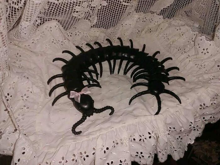 Black centipede with a pink bow sitting on a white lace cloth, creating a hilarious meme scene with quirky contrast.