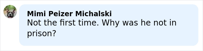Comment by Mimi Peizer Michalski questioning why Timothy Busfield was not in prison related to serious child case charges.