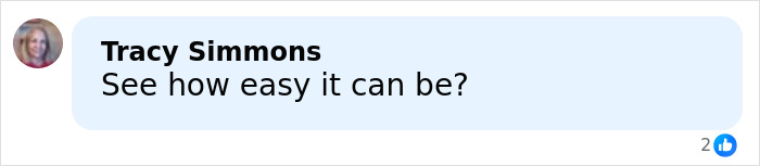 Tracy Simmons replying to a message in a social media comment with 2 likes, discussing ease of use.