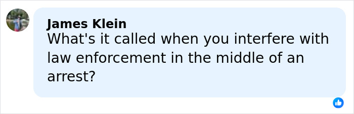 Comment by James Klein questioning interference with law enforcement during an arrest, linked to Alex Pretti's case update.