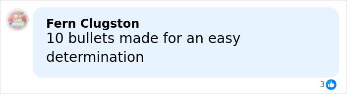 Comment by Fern Clugston stating 10 bullets made for an easy determination in Alex Pretti's case medical examiner ruling update.