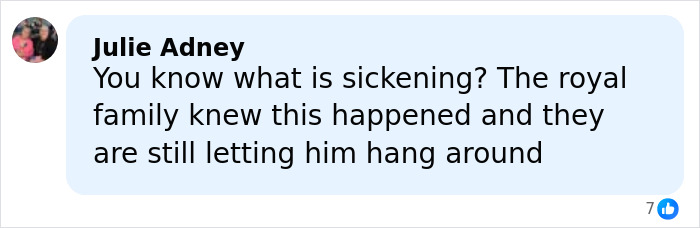 Comment from Julie Adney expressing outrage over the royal family's knowledge amid exotic dancer's allegations against Epstein and Prince Andrew.
