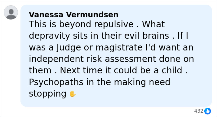 Comment criticizing the violent attack where two students blew up sheep with fireworks, calling for justice and risk assessment.