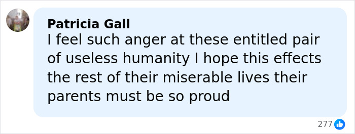 Facebook comment expressing anger towards two students who blew up sheep with fireworks, discussing their fate.