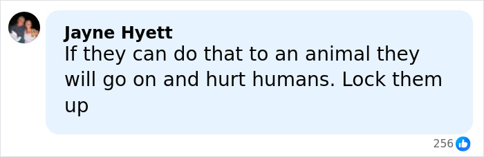 Comment expressing concern about students who harmed sheep with fireworks and a call to lock them up to prevent further violence.