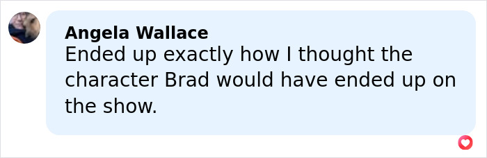 Comment by Angela Wallace about character Brad&rsquo;s fate on Home Improvement star Zachery Ty Bryan&rsquo;s arrest case.