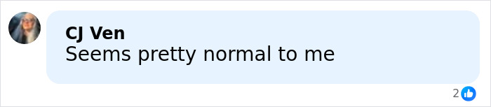 Text comment saying Seems pretty normal to me in a social media style blue speech bubble discussion about Justin and Hailey Bieber Super Bowl tense moment decoded by lip reader