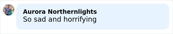 Drunken Dad Describes How Daughter's Life Ended After Fight About Trump, Dramatic Bodycam Footage Shows