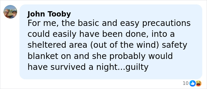Comment from John Tooby discussing safety precautions a climber could have taken to prevent tragedy on the mountain.