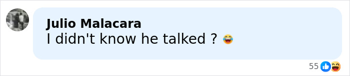 Screenshot of a social media comment reacting to a lip reader's claim about rude words Barron told Ivanka.