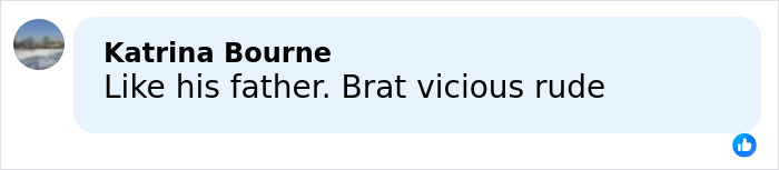 Comment by Katrina Bourne reading Like his father Brat vicious rude, related to lip reader claim about rude words Barron told Ivanka.